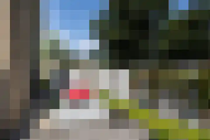 Amestelle 349 Zwanenburg thumbnail 21