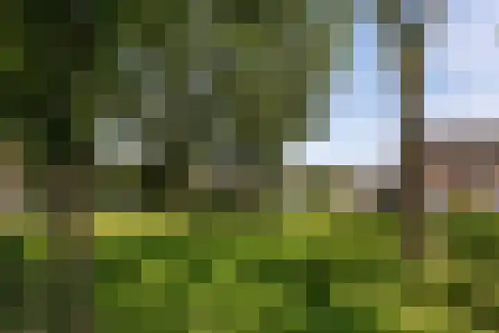 Amestelle 349 Zwanenburg thumbnail 32