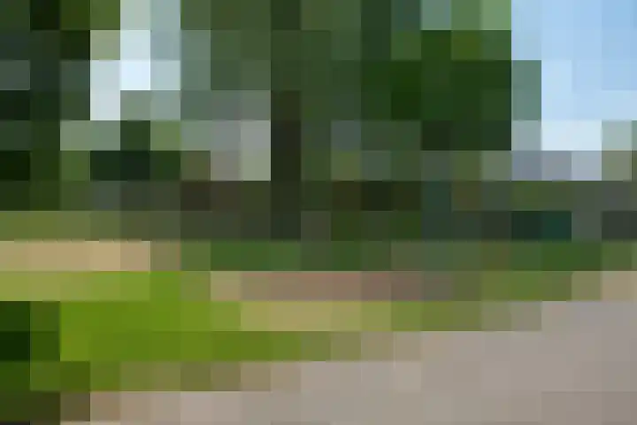 Amestelle 349 Zwanenburg thumbnail 33