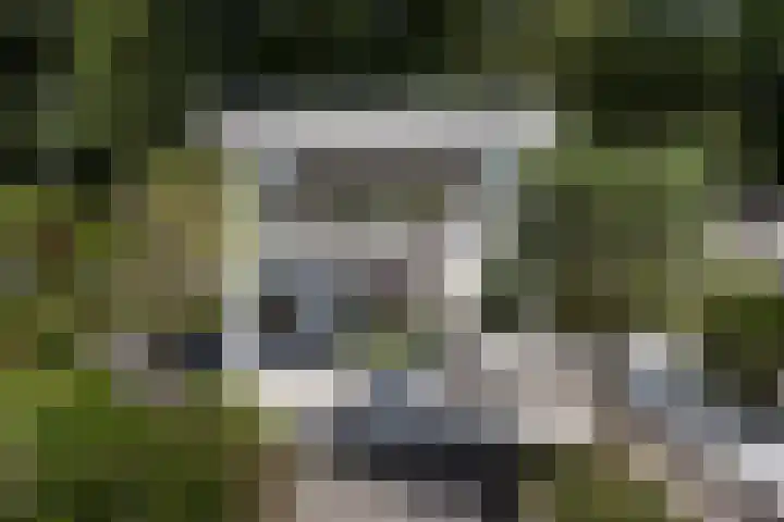 Amestelle 349 Zwanenburg thumbnail 4