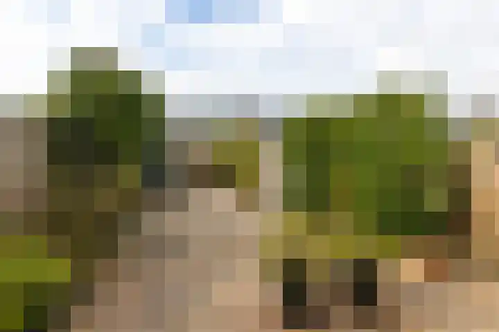 Amestelle 359 Zwanenburg thumbnail 20