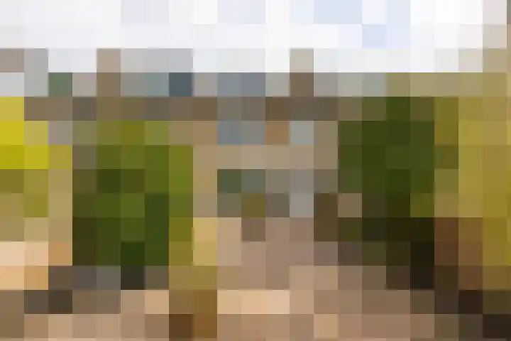Amestelle 359 Zwanenburg thumbnail 21