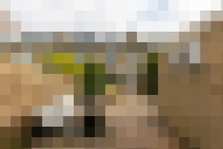 Amestelle 359 Zwanenburg thumbnail 22