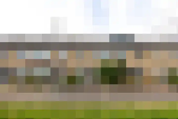 Amestelle 359 Zwanenburg thumbnail 34