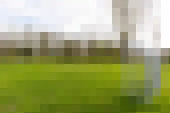 Amestelle 359 Zwanenburg thumbnail 35
