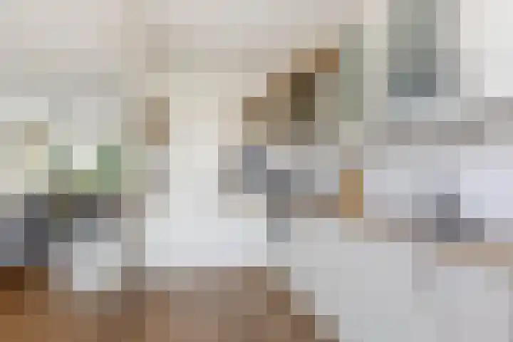 Amestelle 359 Zwanenburg thumbnail 5