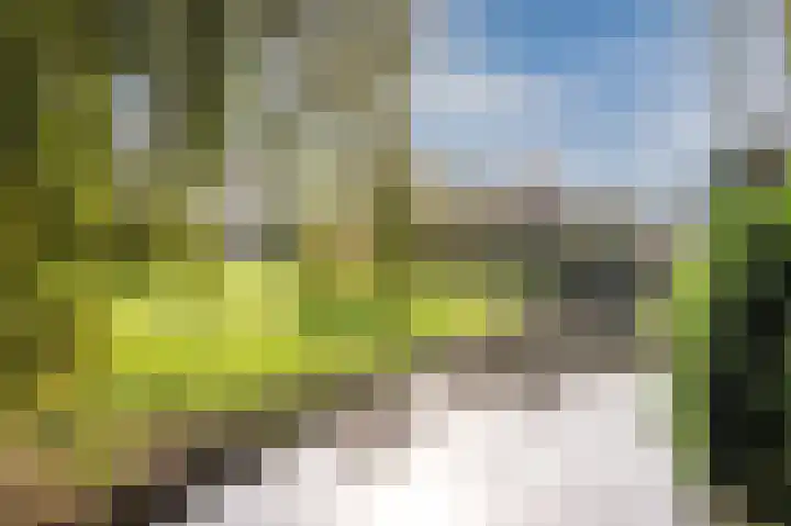 Amethist 18 Mijdrecht thumbnail 34