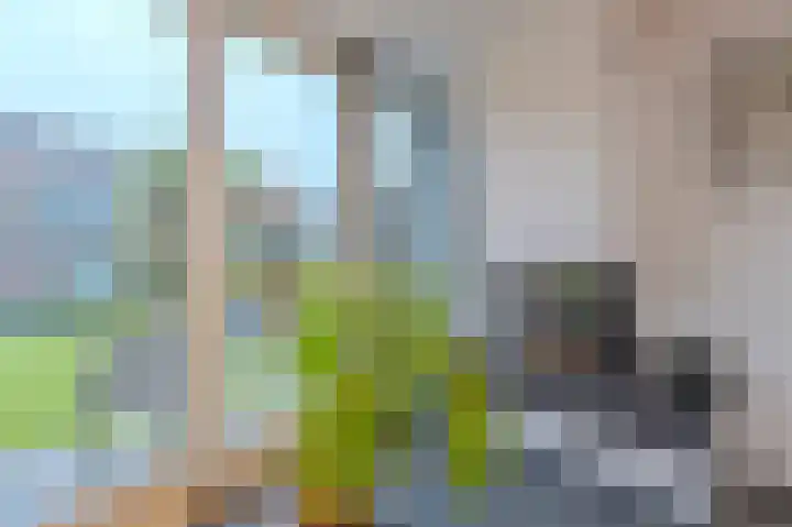 Amethist 38 Venlo thumbnail 24