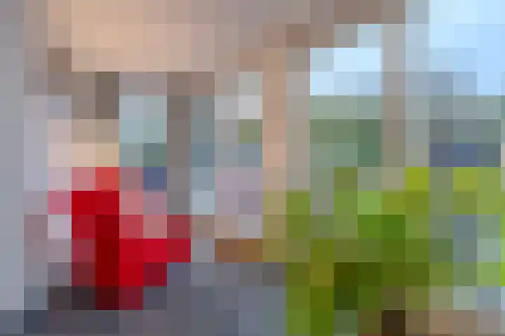 Amethist 38 Venlo thumbnail 25