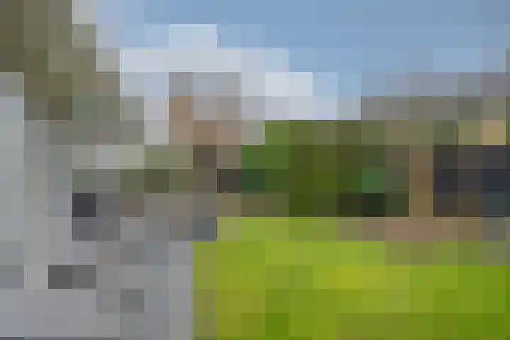 Amethist 38 Venlo thumbnail 40