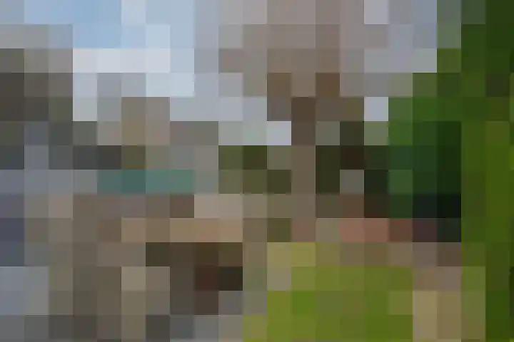Amethist 38 Venlo thumbnail 41