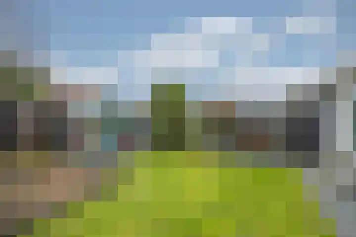 Amethist 38 Venlo thumbnail 43