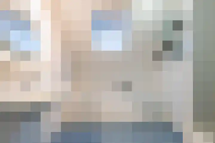 Amethist 38 Venlo thumbnail 5
