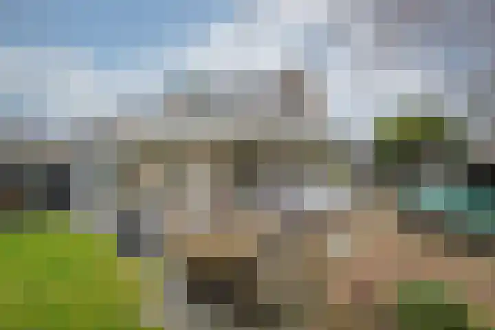 Amethist 38 Venlo thumbnail 6