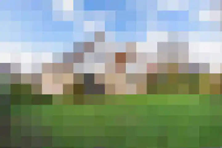 Amethist 40 Drachten thumbnail 4