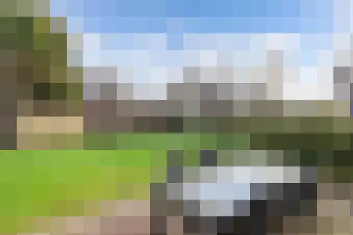 Amethist 40 Drachten thumbnail 46