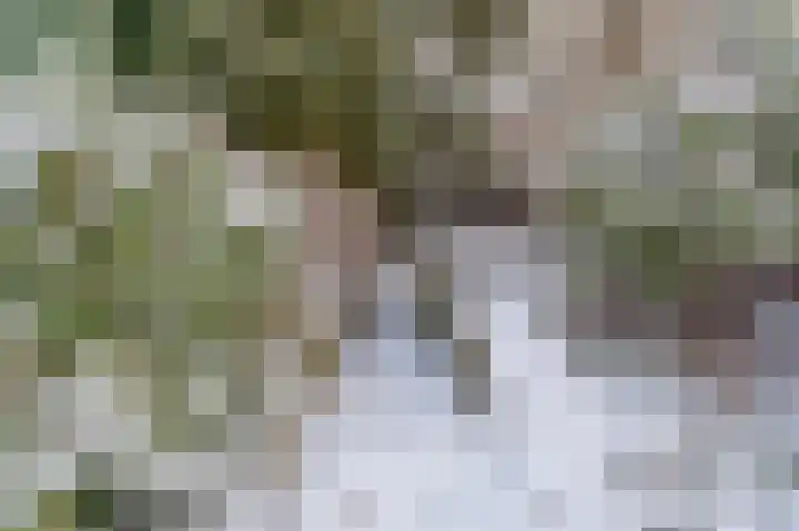 Amethistlaan 6 Veendam thumbnail 65