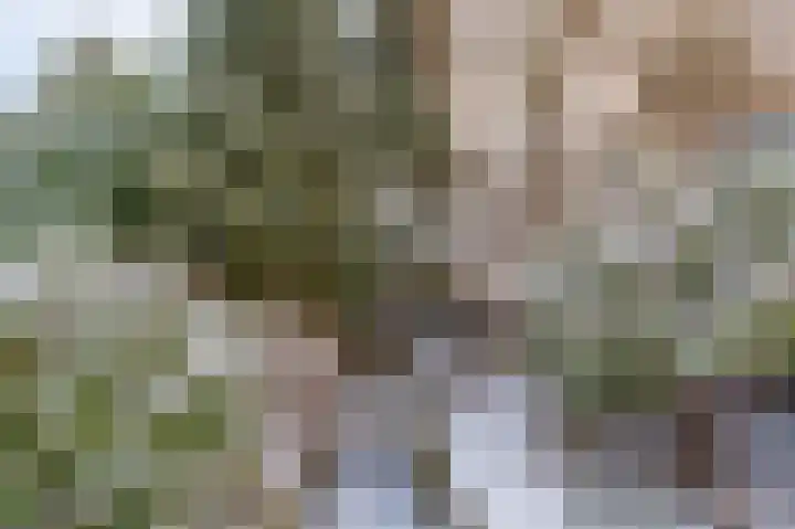 Amethistlaan 6 Veendam thumbnail 66