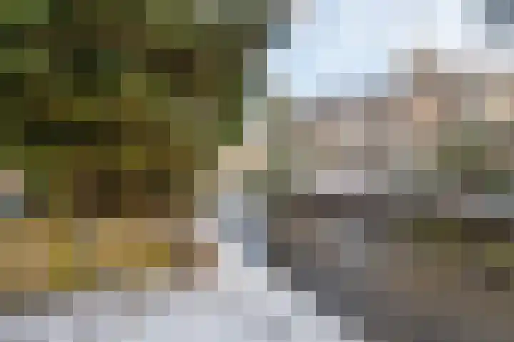 Amethistlaan 6 Veendam thumbnail 68