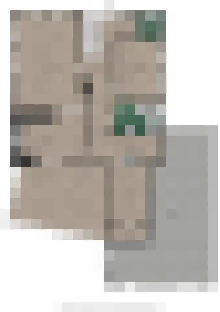 Amethistlaan 6 Veendam thumbnail 71
