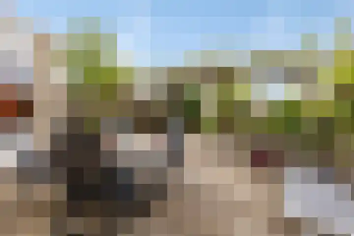 Amethyst 2 Hoorn thumbnail 30