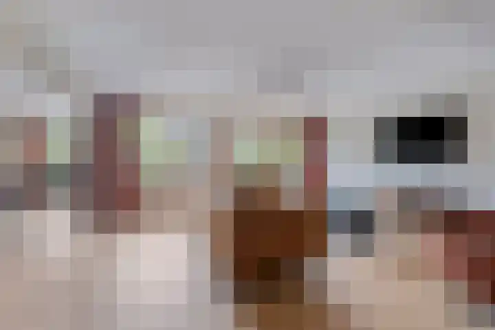 Amethyst 2 Hoorn thumbnail 9