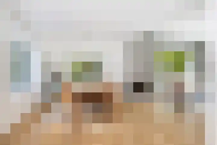 Amethysthof 48 Rhoon thumbnail 22