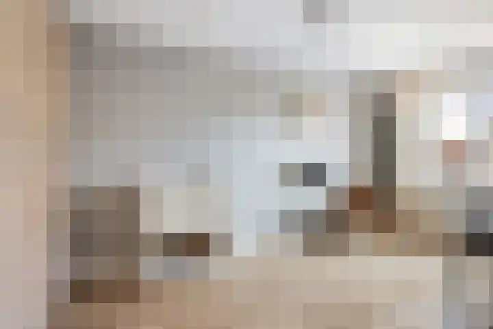 Amethysthof 48 Rhoon thumbnail 34