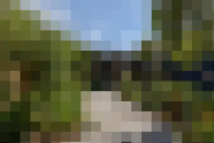 Amethysthof 48 Rhoon thumbnail 49