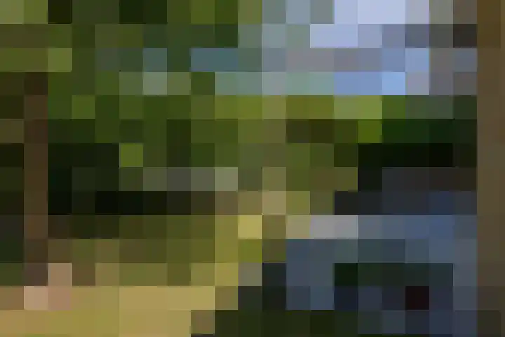 Amethysthof 48 Rhoon thumbnail 56
