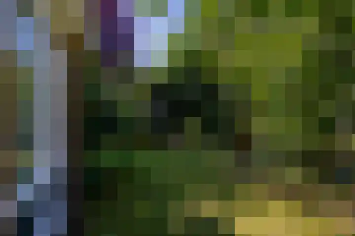 Amethysthof 48 Rhoon thumbnail 61