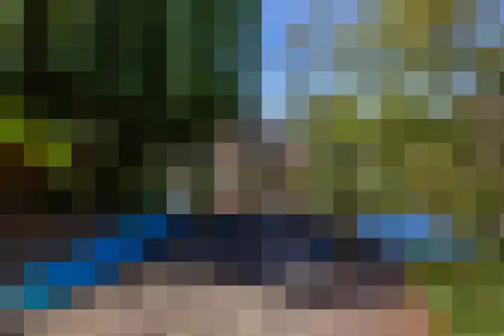 Amethysthof 48 Rhoon thumbnail 66