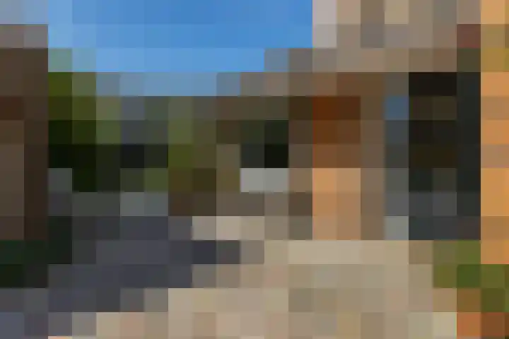 Amethysthof 48 Rhoon thumbnail 9