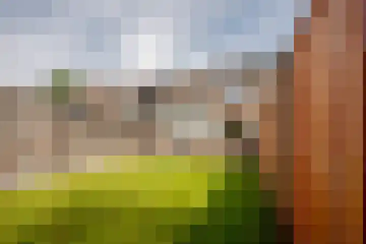 Ammerdorfferstraat 29 Ursem thumbnail 41