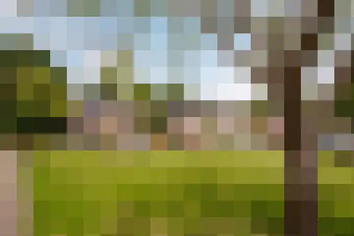 Ammerdorfferstraat 29 Ursem thumbnail 43