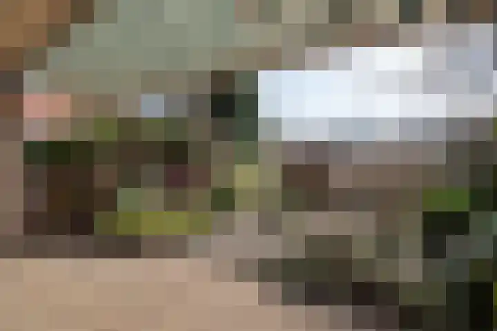 Ampèrelaan 14 Haarlem thumbnail 20