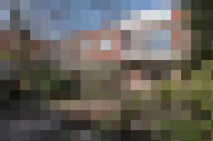 Ampèrelaan 14 Haarlem thumbnail 24