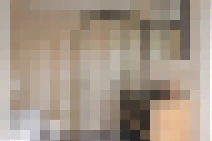 Ampèrestraat 112 Eindhoven thumbnail 22