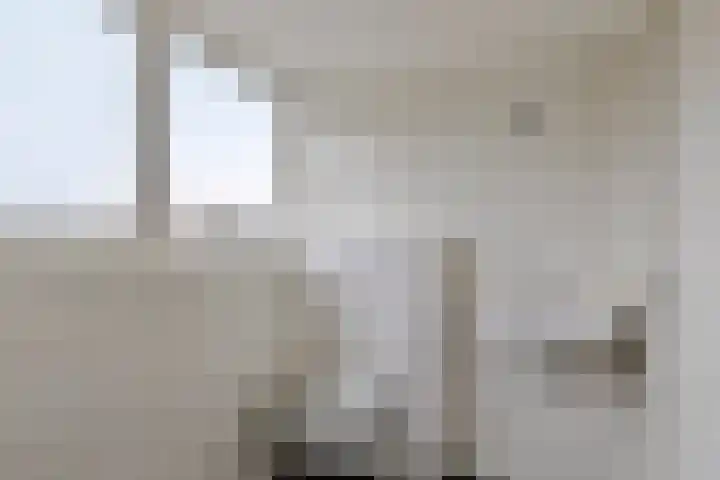 Ampèrestraat 112 Eindhoven thumbnail 28