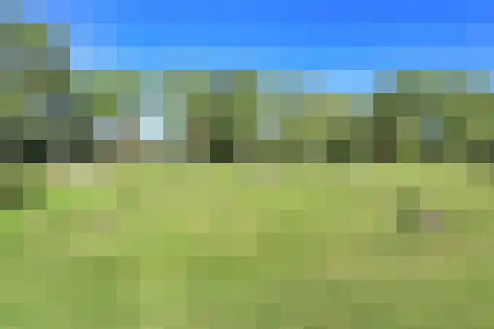 Ampèrestraat 26 Badhoevedorp thumbnail 79