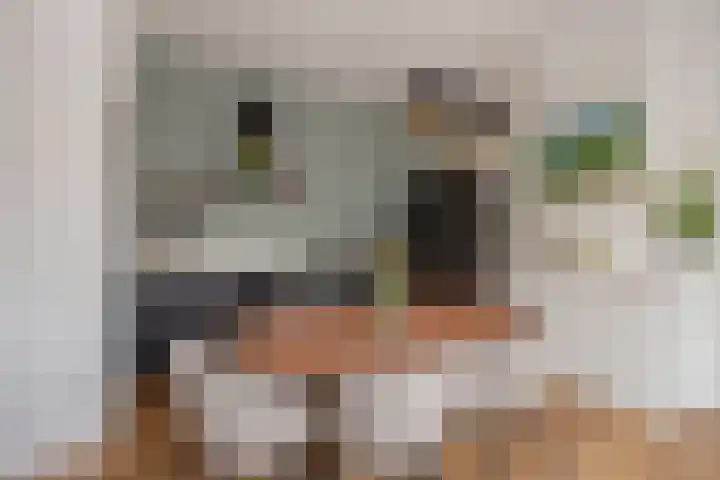 Ampèrestraat 5 Den Haag thumbnail 6