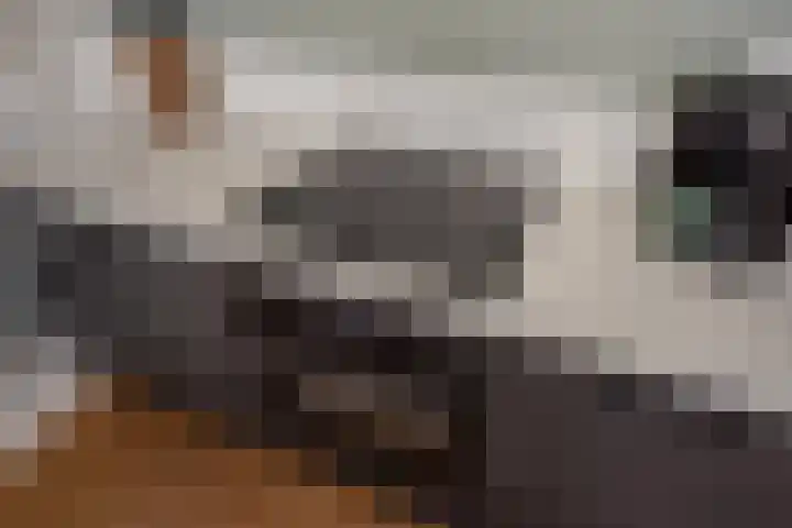 Ampèrestraat 5 Den Haag thumbnail 8