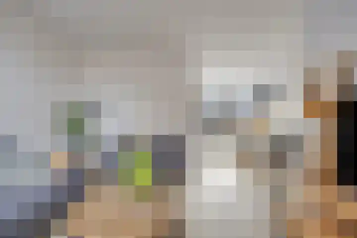 Ampsen 84 Almelo thumbnail 11