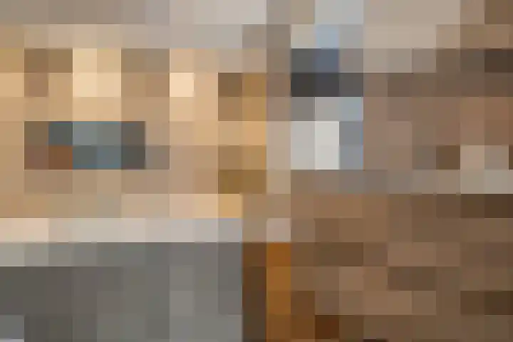 Ampsen 84 Almelo thumbnail 24