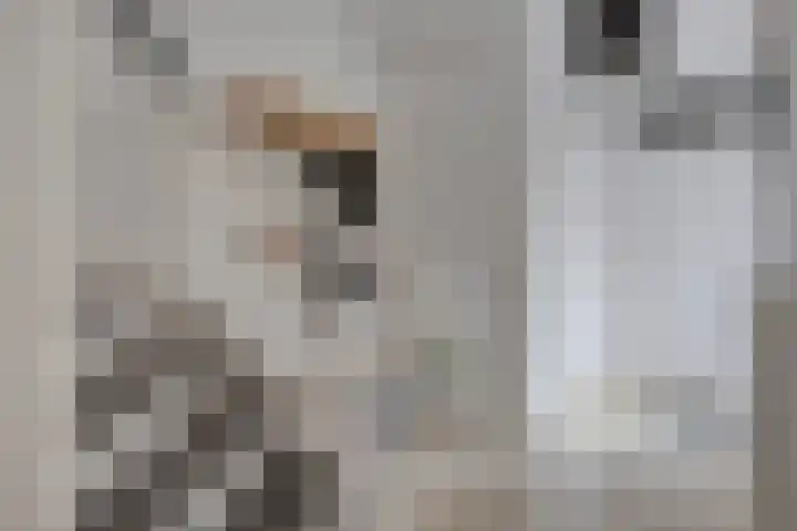 Ampsen 84 Almelo thumbnail 5