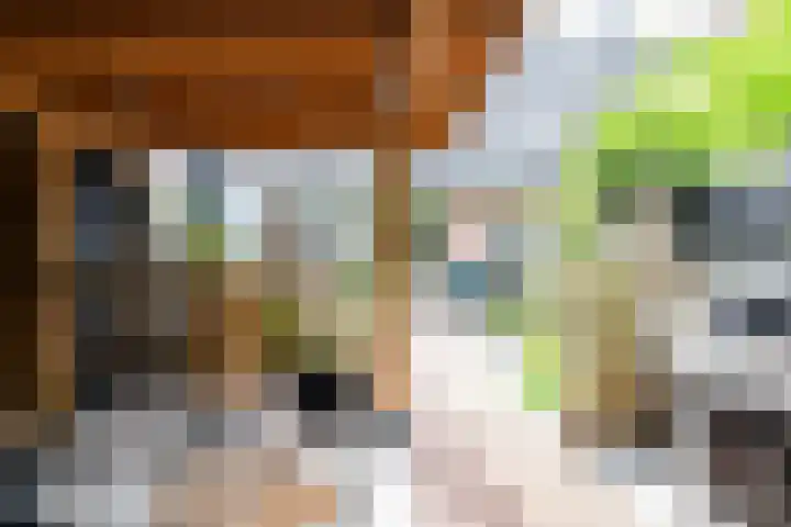 Ampsen 84 Almelo thumbnail 9