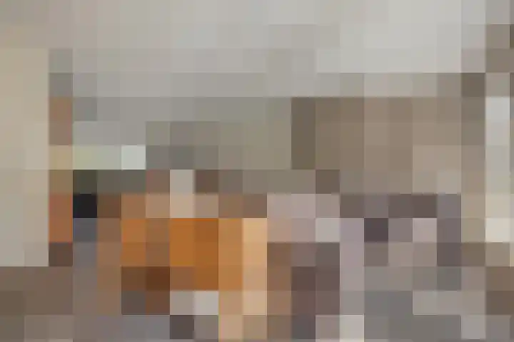 Amroth 24 Geldrop thumbnail 14