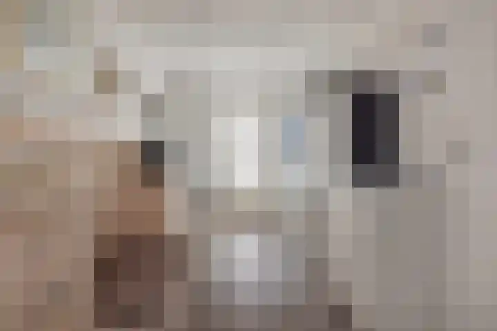 Amroth 24 Geldrop thumbnail 25