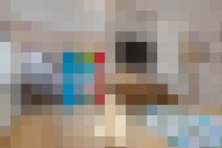 Amroth 24 Geldrop thumbnail 32