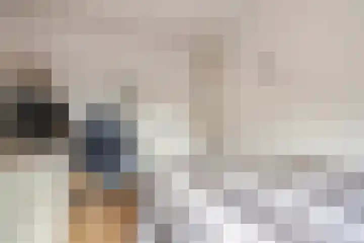 Amroth 24 Geldrop thumbnail 34
